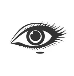 Enhances Eye Shape - Beauty Lounge by Joelle