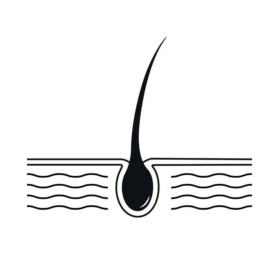 Natural Hairline - Beauty Lounge by Joelle