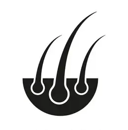Stimulates Hair Follicles - Beauty Lounge by Joelle