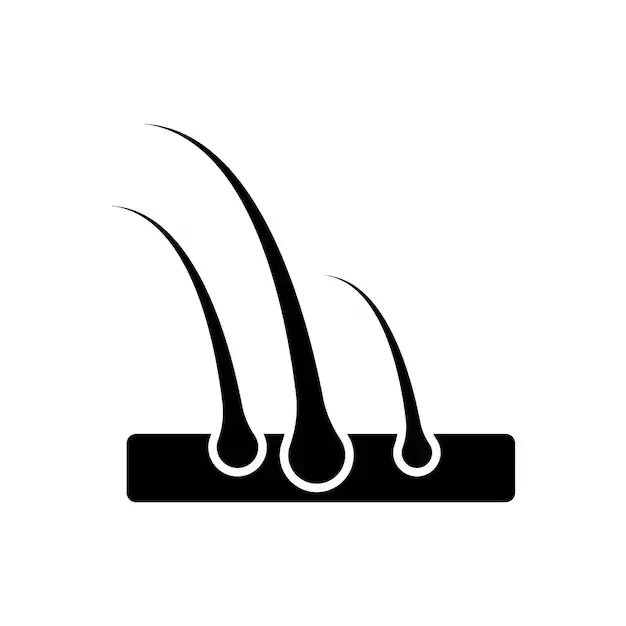 Boosts Hair Volume - haircuts and styling - Beauty Lounge by Joelle Boosts Hair Volume - haircuts and styling